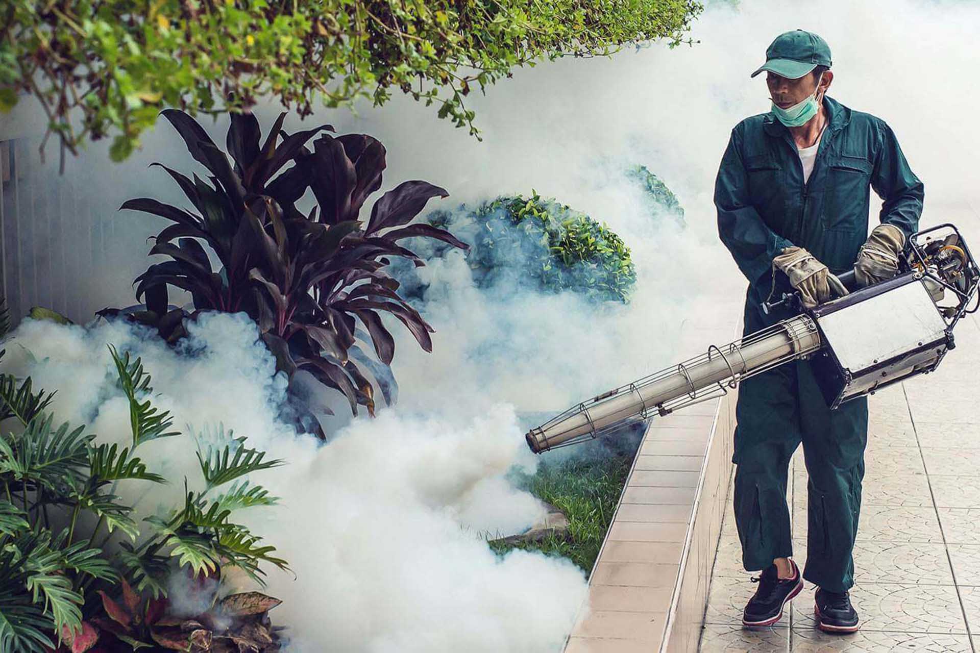Modern Pest Control Service in Red Deer for Lasting Results
